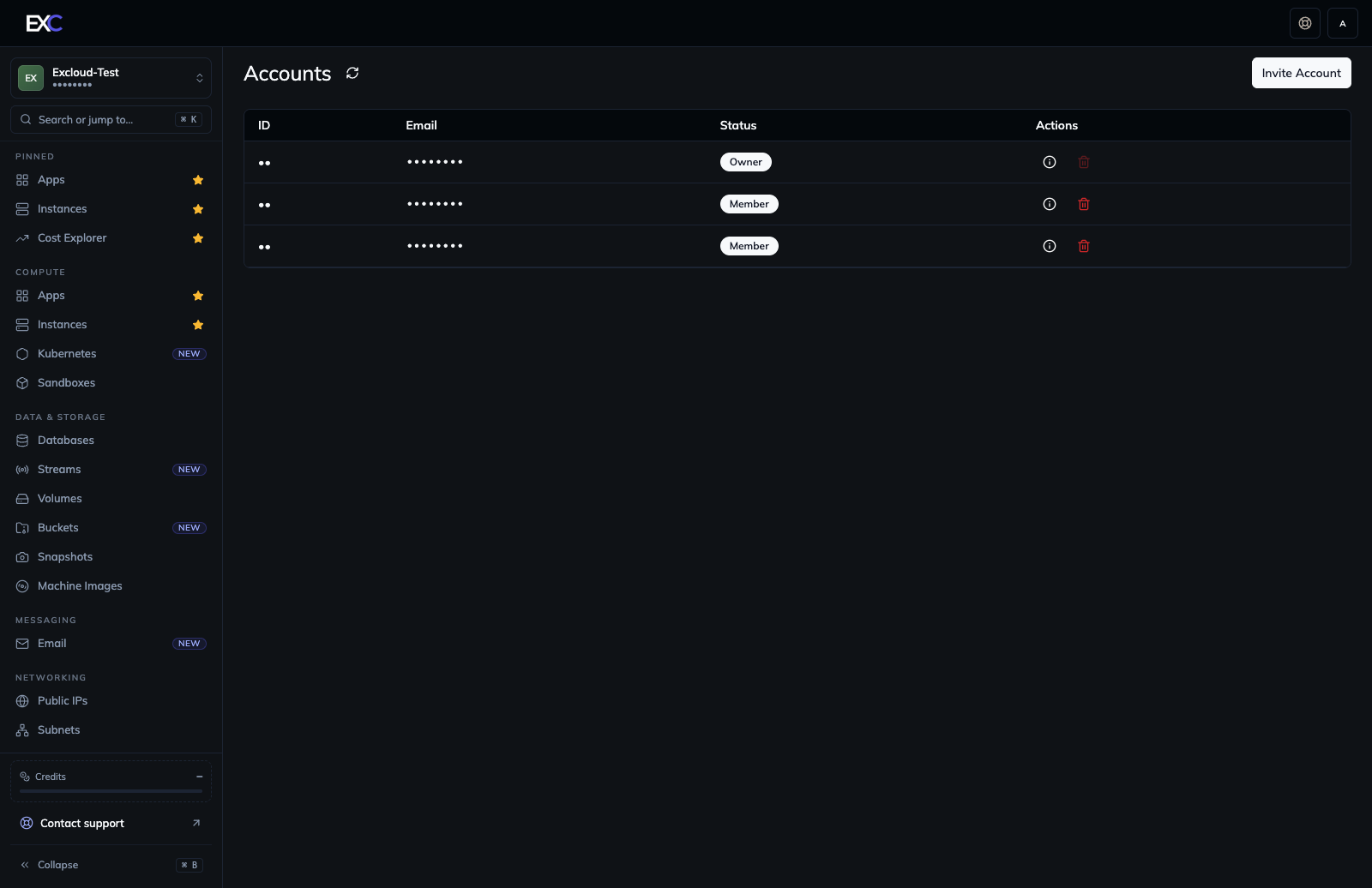 Accounts page in the Excloud console with the Invite Account button